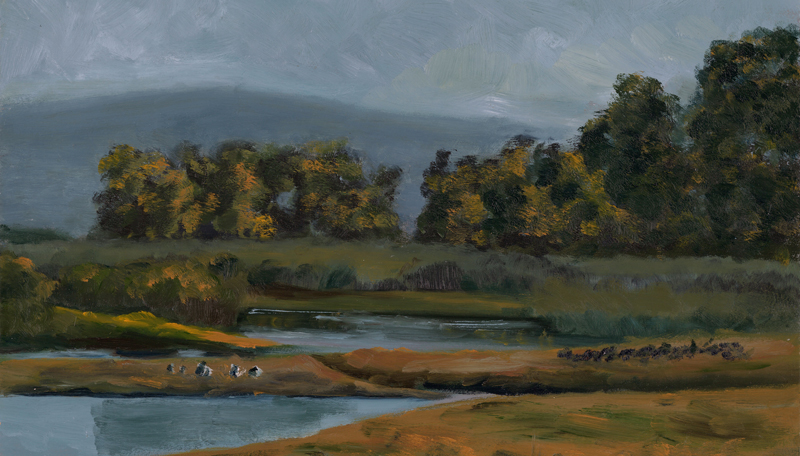 Marsh near Corte Madera