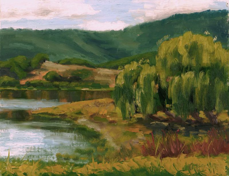 Willow Tree at Stafford Lake