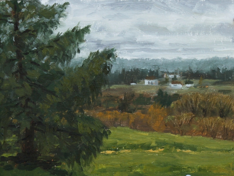 Cloudy Day in Ragle Ranch Park