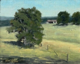 Quiet Pasture