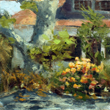 A bush of yellow roses