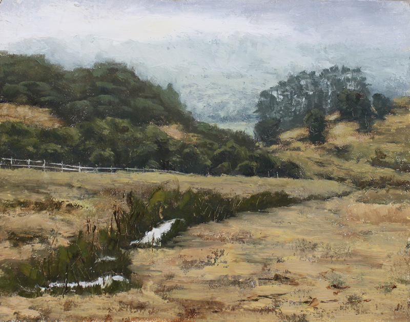 Misty Morning in Point Reyes