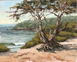 Beach in Carmel-by-the Sea