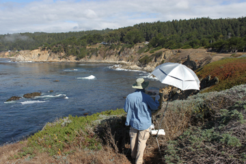 Plein air studies near Fort Ross, CA